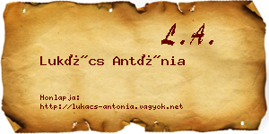 Lukács Antónia névjegykártya
